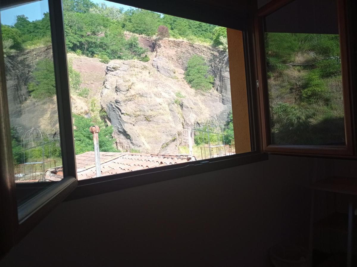 Allotjament Buixeda Olot Bagian luar foto